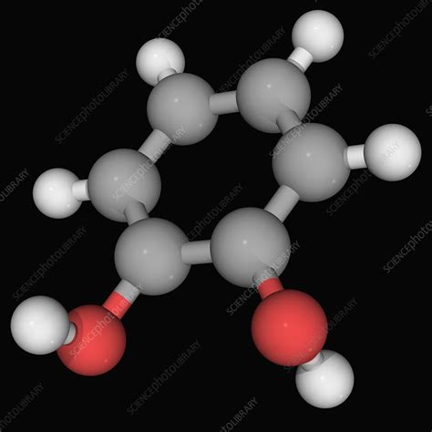 Catechol Molecule Stock Image F004 5601 Science Photo Library