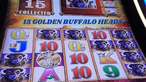 Another Lovely Golden Buffalo Heads Huge Win On Buffalo Gold Slot