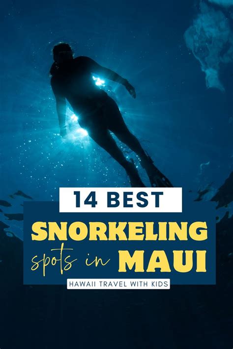 Discover The Mesmerizing Underwater World Of Maui Dive Into Our