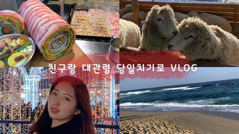 대관령 당일치기 국내여행 브이로그vlog Youtube