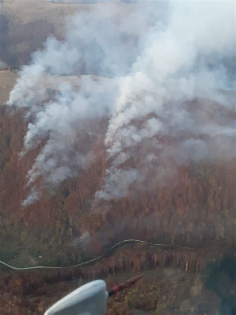 Intervenție a pompierilor din Alba la un incendiu de pădure