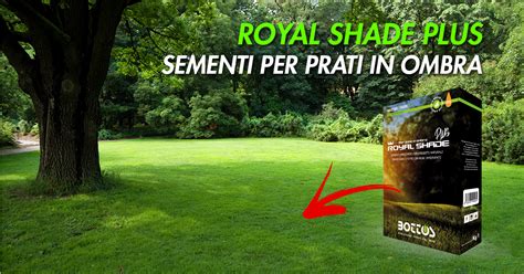 ROYAL SHADE PLUS Bottos 1848