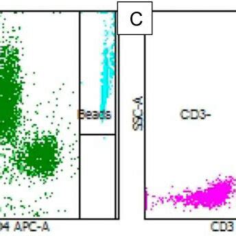 Example Flow Cytometry Gating Facs Dot Plot On Bd Facs Canto Ii Gating