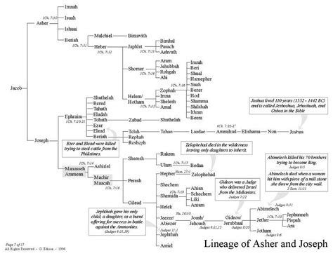 joseph genesis family tree - Magdalen Rouse