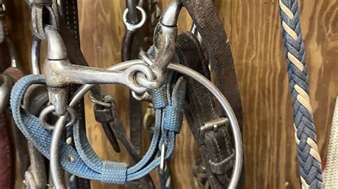 Snaffle Bits 101: The Horse Owner's Guide To Types And Uses