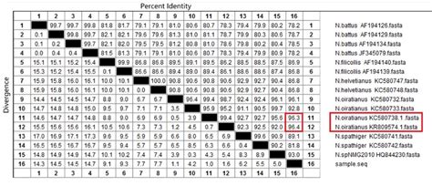 Homology alignment result based on ITS-rDNA sequences. The red box ...