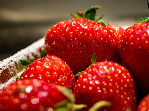 Fraises Biographie Fruit Photo Gratuite Sur Pixabay