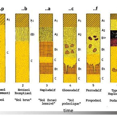 Soil formation in eolian loess deposits starting from the late glacial... | Download Scientific ...