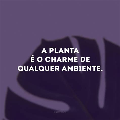 50 frases sobre plantas para os amantes da jardinagem