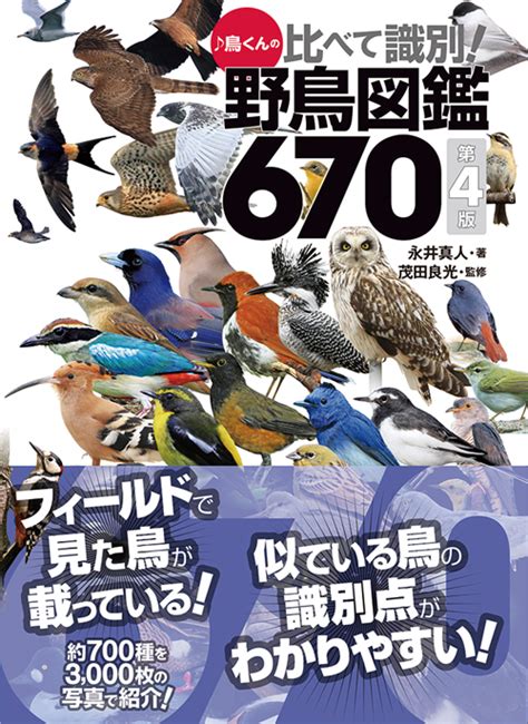 日本で見られる野鳥をほぼ網羅！【♪鳥くんの比べて識別！野鳥図鑑670 第4版】ついに発売！｜株式会社 文一総合出版のプレスリリース