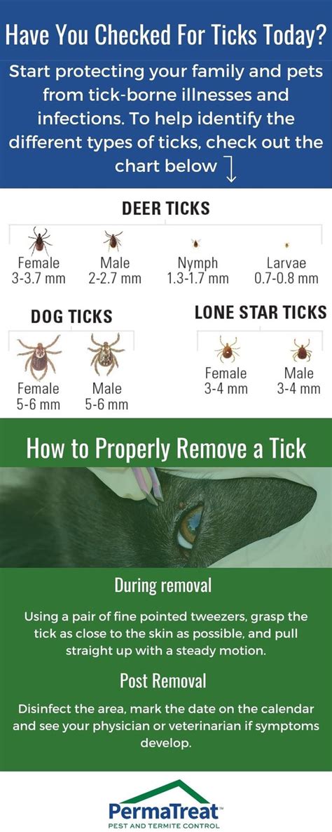 Tick Prevention Tips