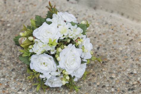 Modern White Wedding Bouquet Stock Photo Image Of Fresh Colours