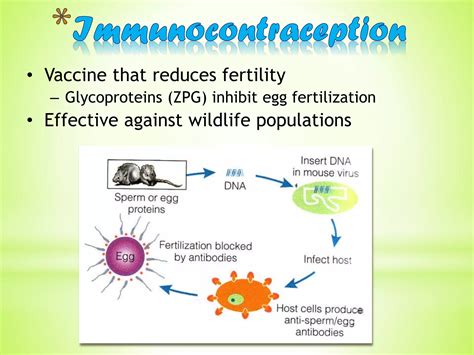 Pest Management In Organic Farming Ppt