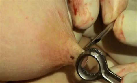 Needle Pain Bdsm Extreme Tit Torture Pussy Torture Tg Page