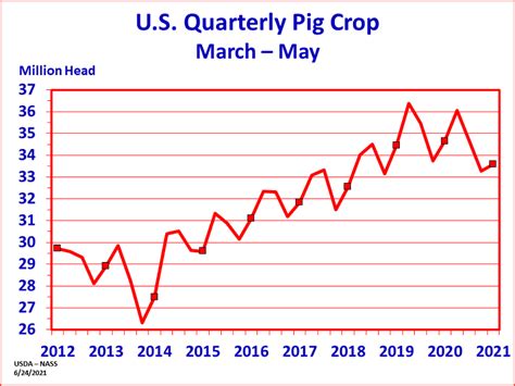 National Beef Wire Quarterly Hogs And Pigs