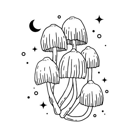 premium vector hand drawn mushroom outline illustration