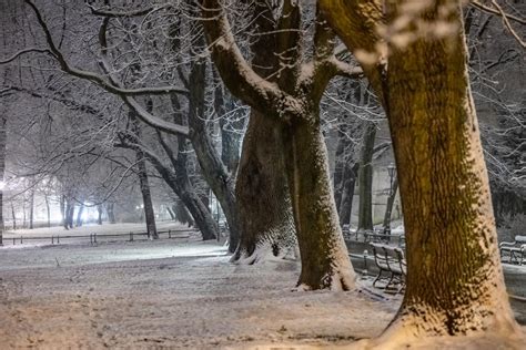 Podlaskie Atak zimy śnieg i mróz nawet do minus 10 stopni Gazeta