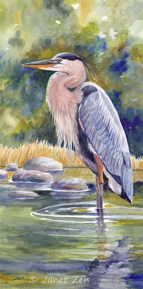 Janet Zeh Original Art Watercolor and Oil Paintings: Great Blue Heron in a Stream I