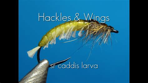 Fly Tying Sr Caddis Larva Hackles Wings Youtube