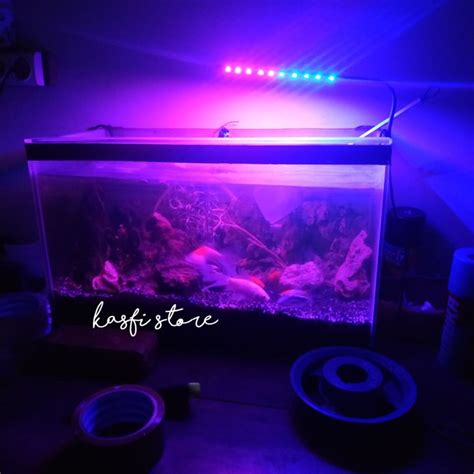 Lampu Aquarium Mata Lampu Led Smd Biru Pink Lampu Aquascape Lampu