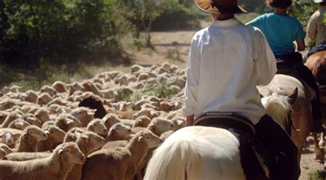 Abruzzo Molise An Ancient Storytelling Along The Tratturo Italy