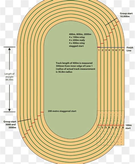 Labelled Diagram Of M Track And Field