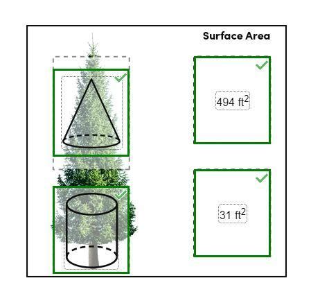 Drag Each Shape To The Correct Location On The Tree Drag Each