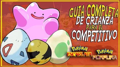 GUIA De CRIANZA PERFECTA COMPETITIVA Pokemon Escarlata Y Purpura YouTube