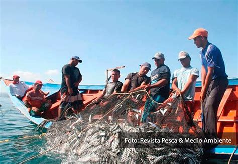 Presentan Ley Que Apoya Pescadores Artesanales Con Las Compras