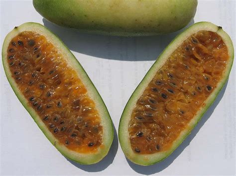 15 Exotic Fruits You Have To Try In Colombia Learn More Than Spanish