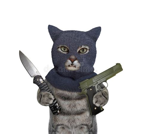 Cat Gray in Balaclava Holds Handgun Stock Image - Image of gangster ...