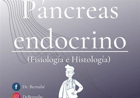 P Ncreas Endocrino Dr Bernab Udocz