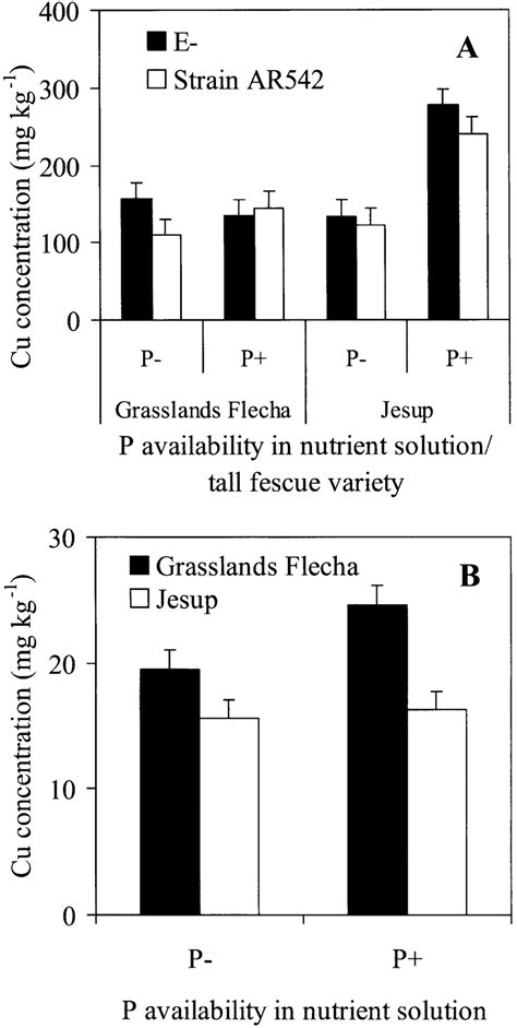 Interaction Of Endophyte Status Tall Fescue Variety And P