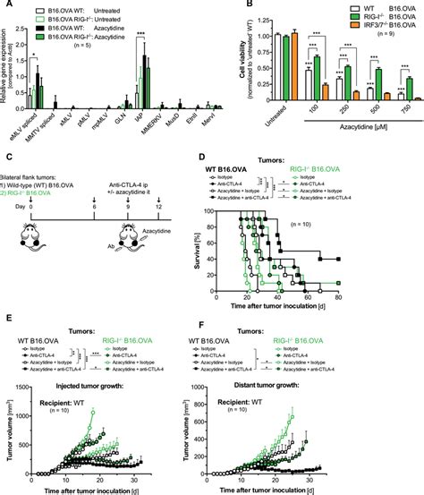 Erv Transcriptupregulating Azacytidine Induces Rigidependent