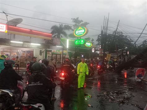 Hujan Disertai Angin Kencang Terjang Bandung Pohon Tumbang Timpa 2 Mobil