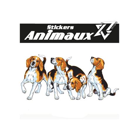 Autocollant Chiens De Chasse Beagles Pour Voiture Camionnette Chasse