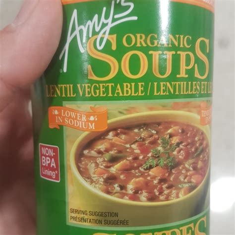 Amys Amy S Organic Lentil Vegetable Soup Review Abillion