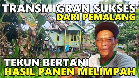 Inspirasi Sukses Pak Joko Petani Transmigrasi Asal Pemalang Sukses