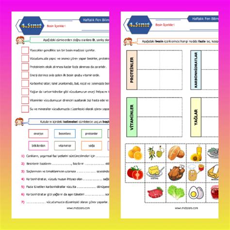 4 Sınıf Fen Bilimleri Besin İçerikleri Etkinlikleri Meb Ders