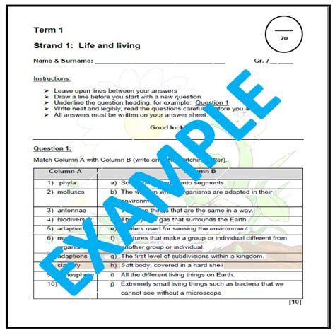 Ems Grade 7 Term 1 Revision Questions And Answers 1 • Teacha