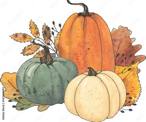 Fall Sublimation Watercolor Thanksgiving Pastel Pumpkin Leaf Clipart