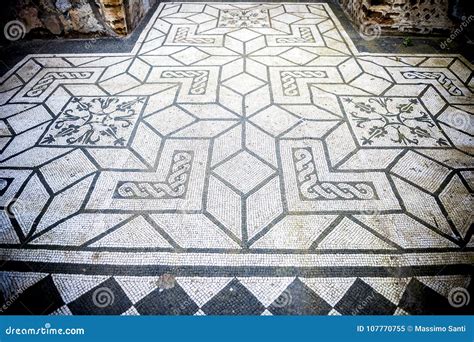 Villa Adriana White And Black Mosaics With Geometric Motifsdecorate