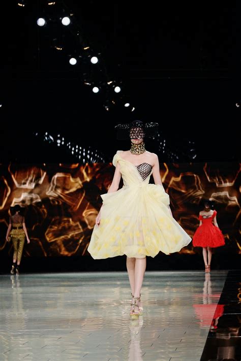 Alexander Mcqueen Spring 2013 Bee Theme Collection