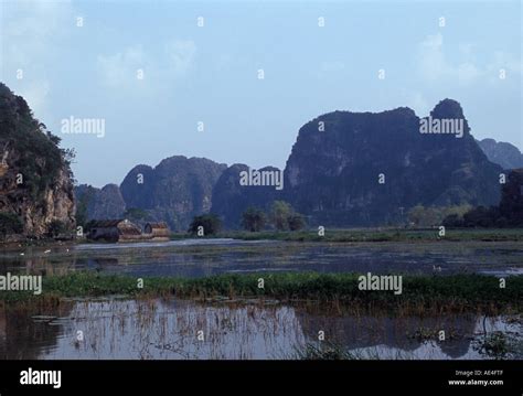 Rice Paddy Fields Stock Photo Alamy