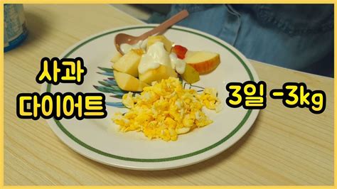 Diet Vlog 3일 사과다이어트🍎 급찐급빠🔥 단기다이어트🔥 Apple Diet For 3 Days🍎 Youtube