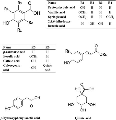 Chemical Structures Of Typical Phenolic Acids In Purple Corn Zea Mays