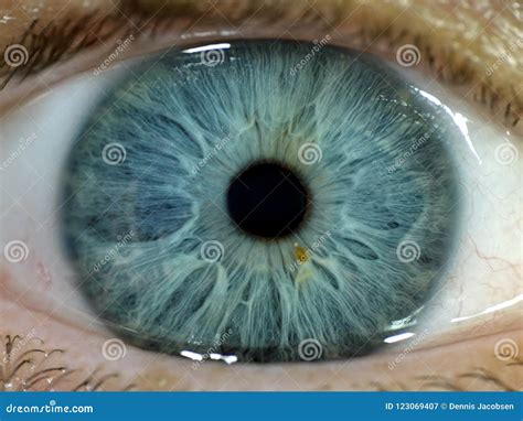 Closeup Of A Blue Human Eye Stock Image Image Of Blue Iris 123069407