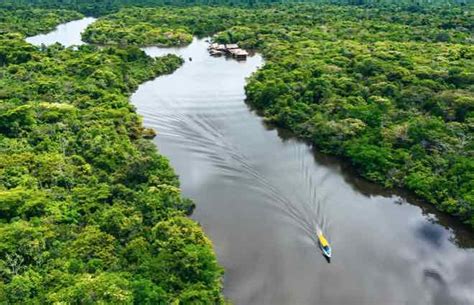 Explore The Amazon Rainforest In Northern Peru From Iquitos