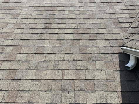 Hail damage on dimensional shingle roof Knoxville TN - Litespeed ...