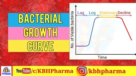 Bacterial Growth Curve Microbiology Phases Dilkhush Raj Youtube